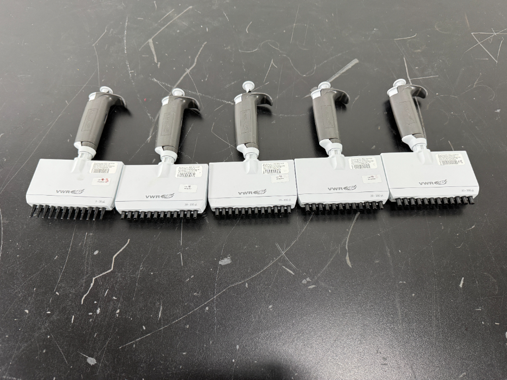 Image of VWR Multichannel Pipettes - Quantity 5